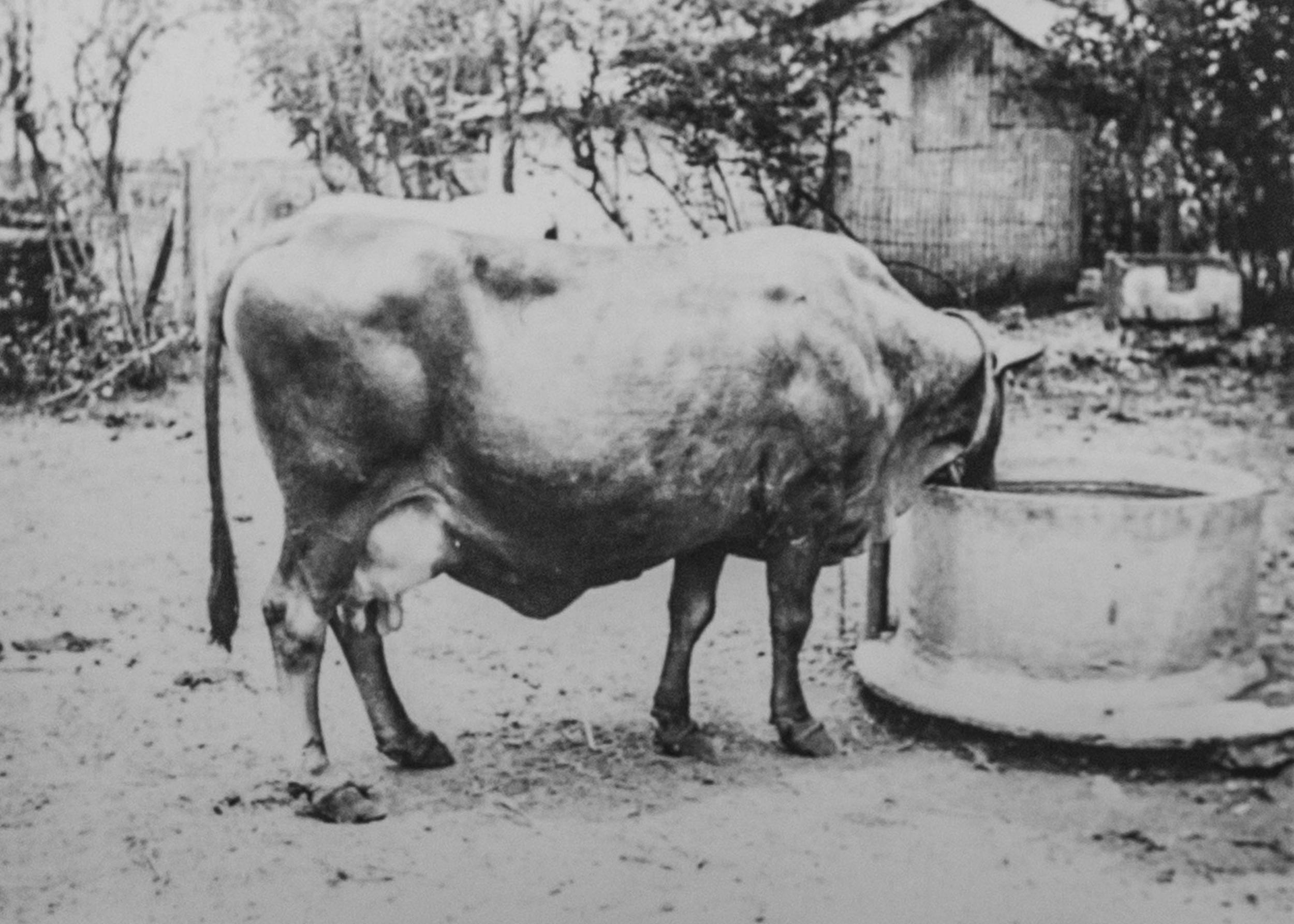 Unkown Photographer. Ownership. 2019